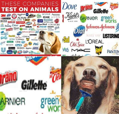 gucci test on animals meme|These Companies Test On Animals .